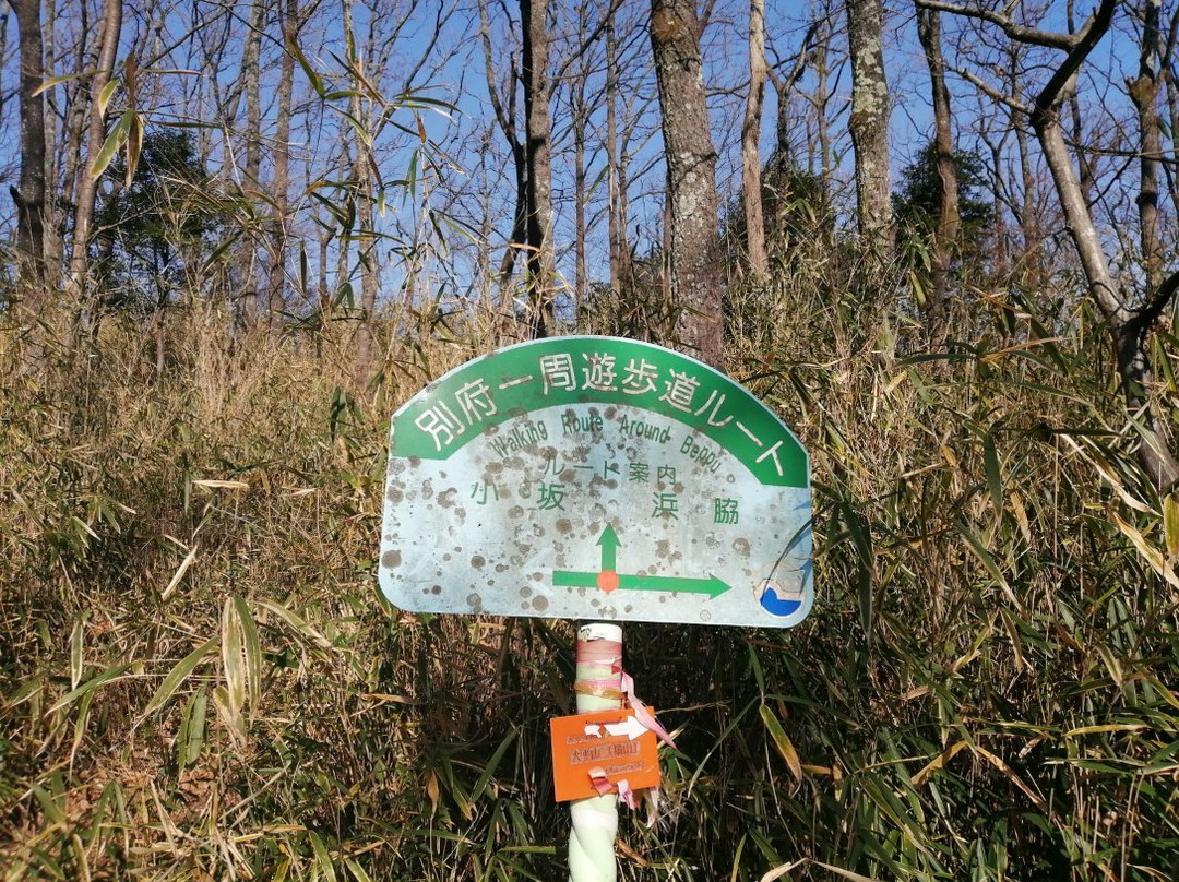 Mt. Ohira-别府市必去景点