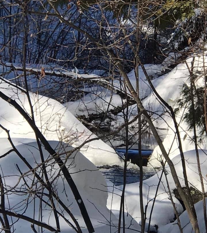 Bass Lake Trail-伊利必去景点