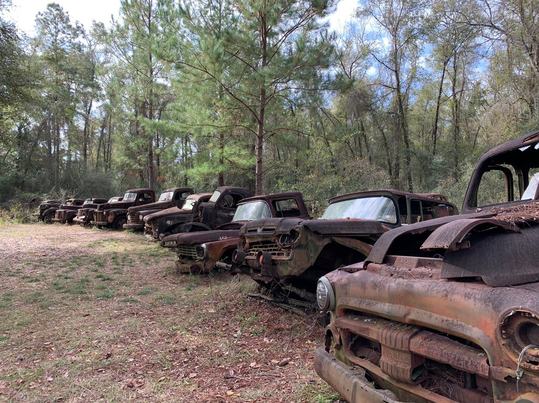 Roadside Rusted Ford Trucks-Crawfordville必去景点