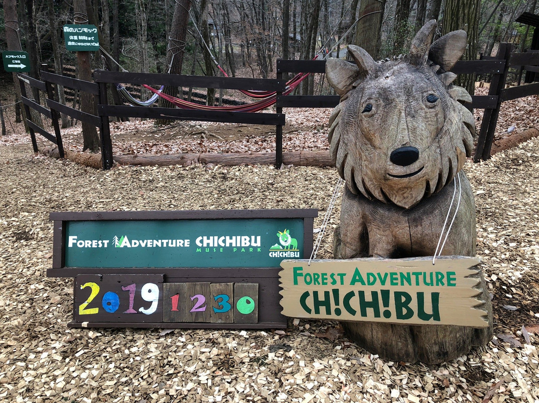Forest Adventure Chichibu-秩父市必去景点