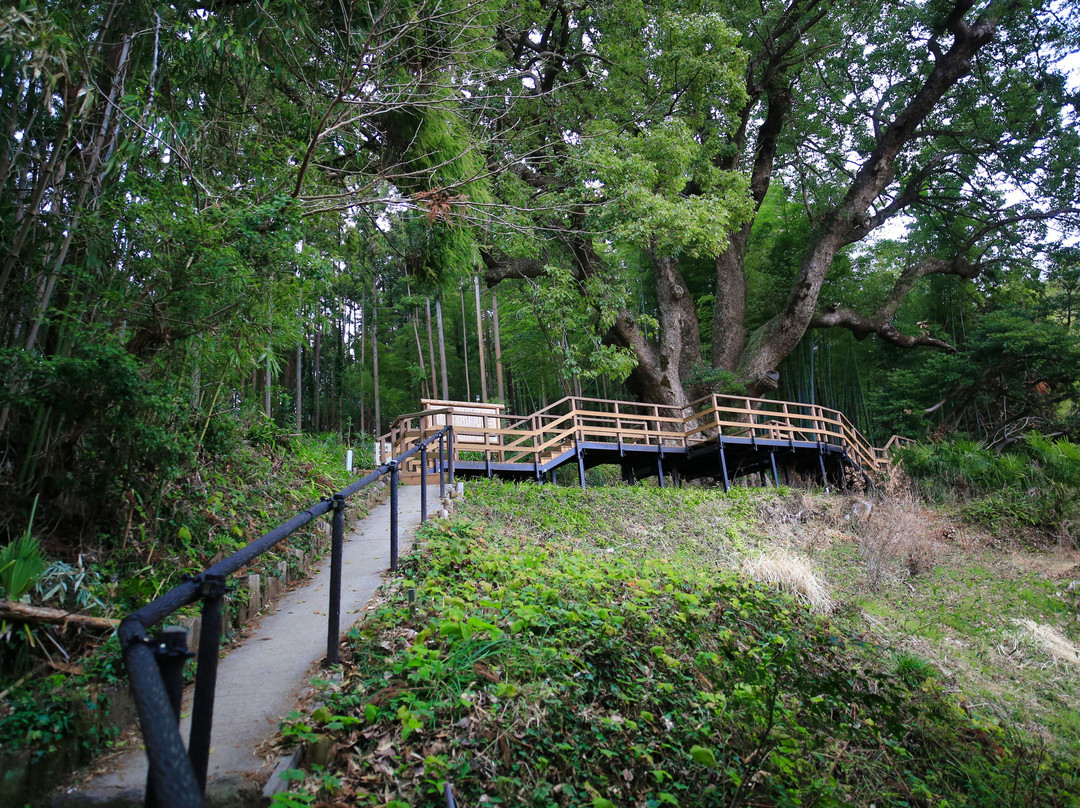 Kamiyatsuno Okusuu-越生町必去景点