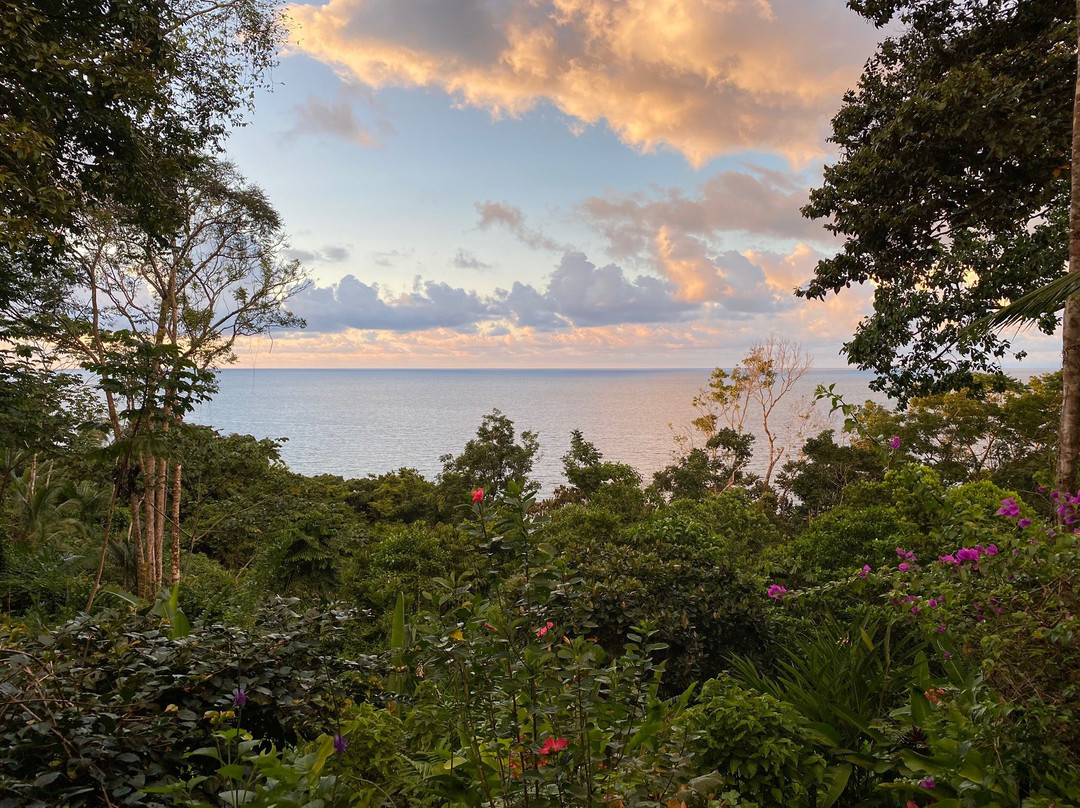 La Paloma Lodge Drake Bay主图