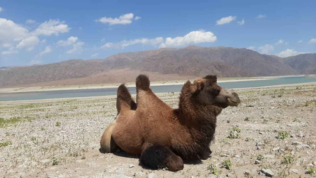 Orto-Tokoy Water Reservoir景点图片