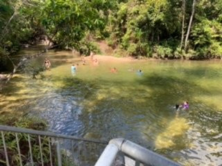 Alligators Nest-Tully必去景点