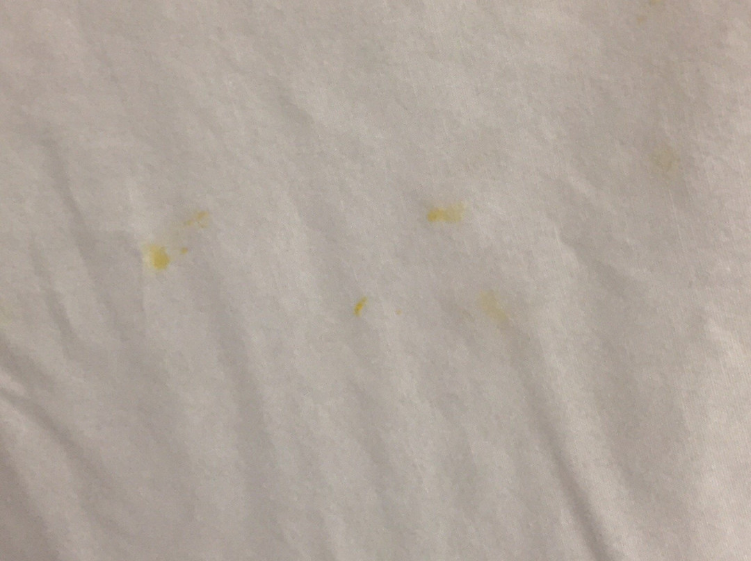 Microtel Inn & Suites by Wyndham Tuscaloosa Near University主图