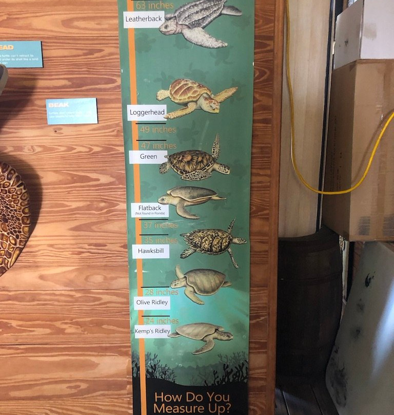 Florida Keys Eco-Discovery Center-基韦斯特必去景点