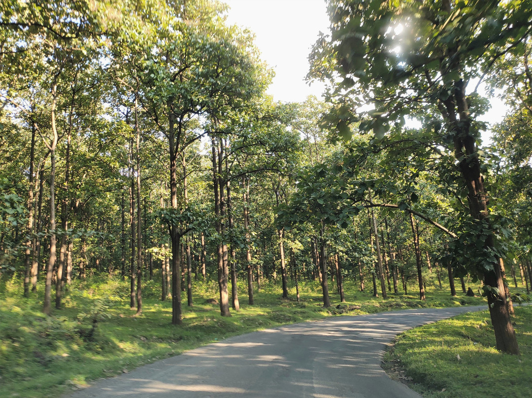 Wayanad Wildlife Sanctuary景点图片