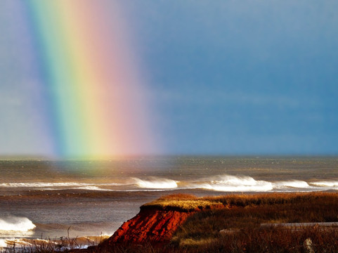 Duncan's Island Tours-夏洛特镇必去景点