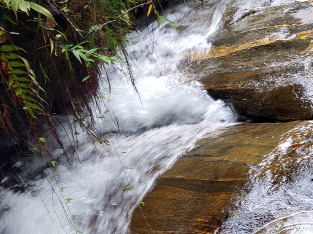 Parque Estadual Campos do Jordao-坎普斯－杜若尔当必去景点