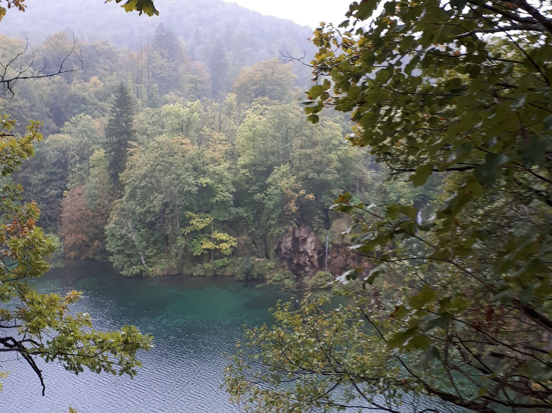Batinovac Lake景点图片