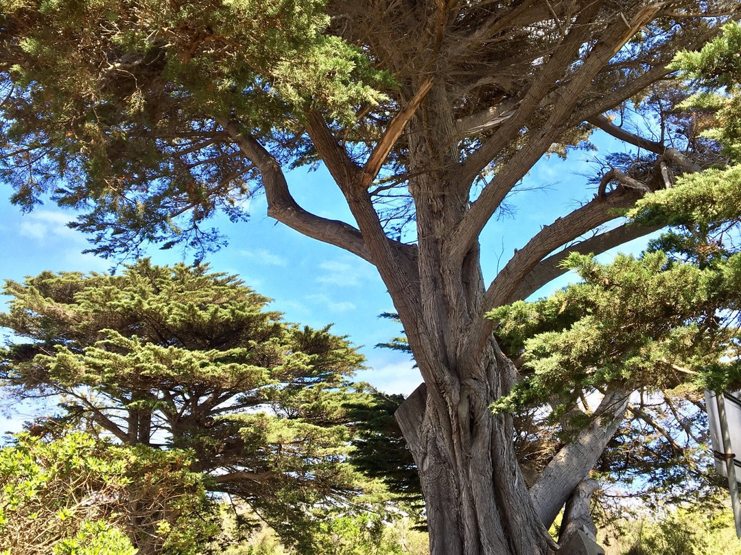 Ventnor Beach景点图片