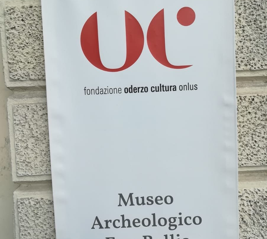Museo Archeologico "Eno Bellis"景点图片