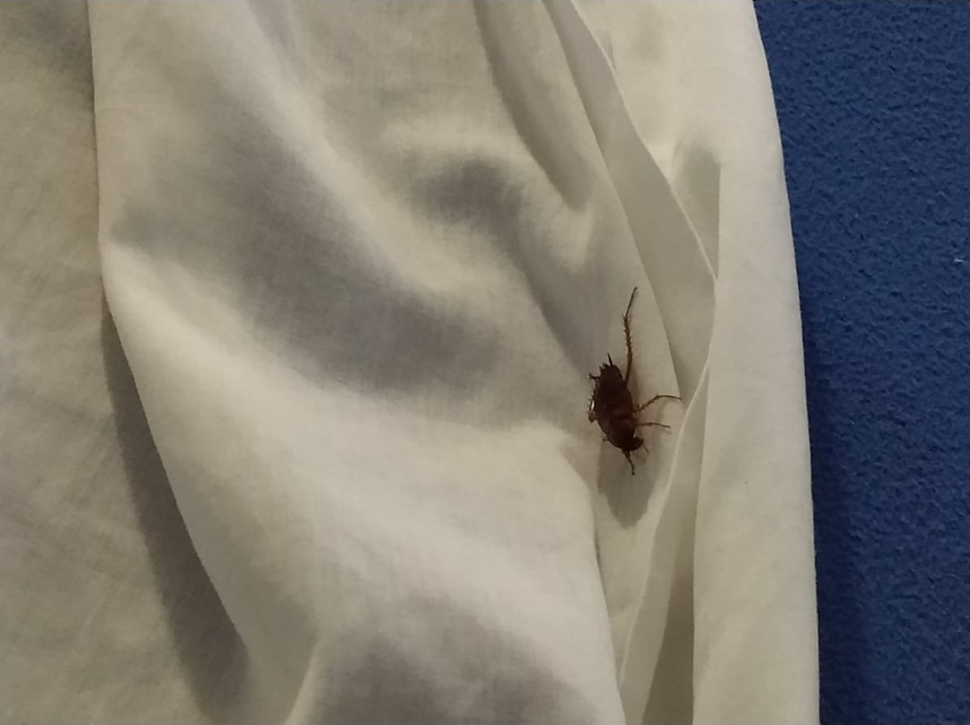 Casssa Vlanca Hotel主图