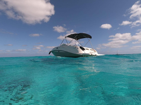 Blue Ocean Tours-乔治城必去景点