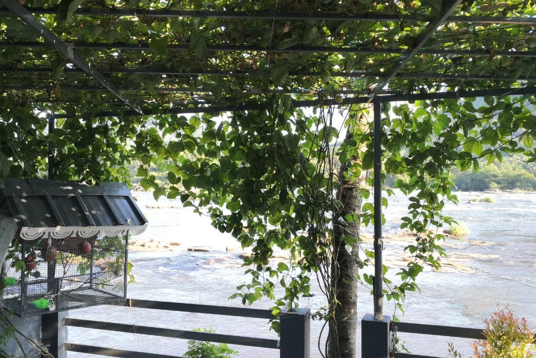 The Anchorage Athirapilly Resort主图