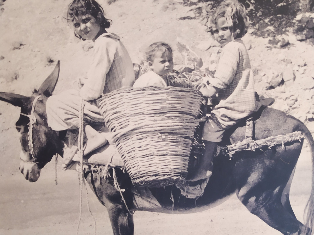 Mouseio Caffee Bar Resto-Deryneia必去景点