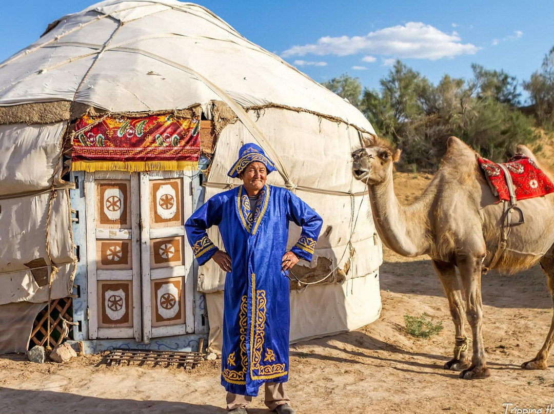 Yurt Camp Aidar