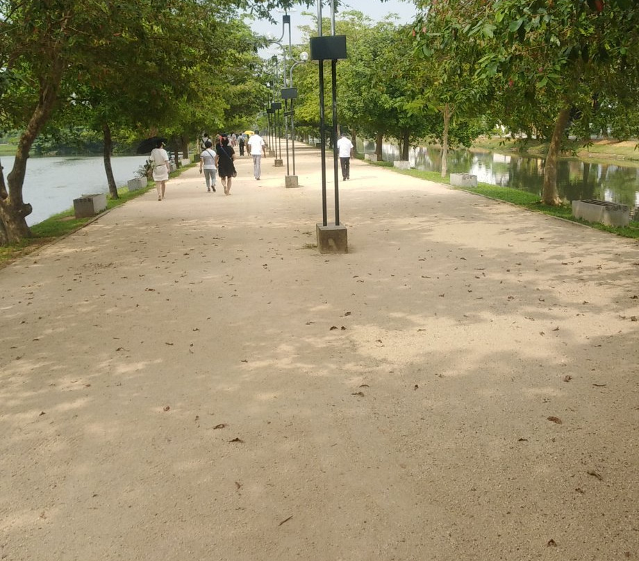 Urban Wetland Park景点图片