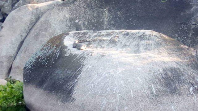 REMARKABLE TOURS & SAFARIS-Geita必去景点