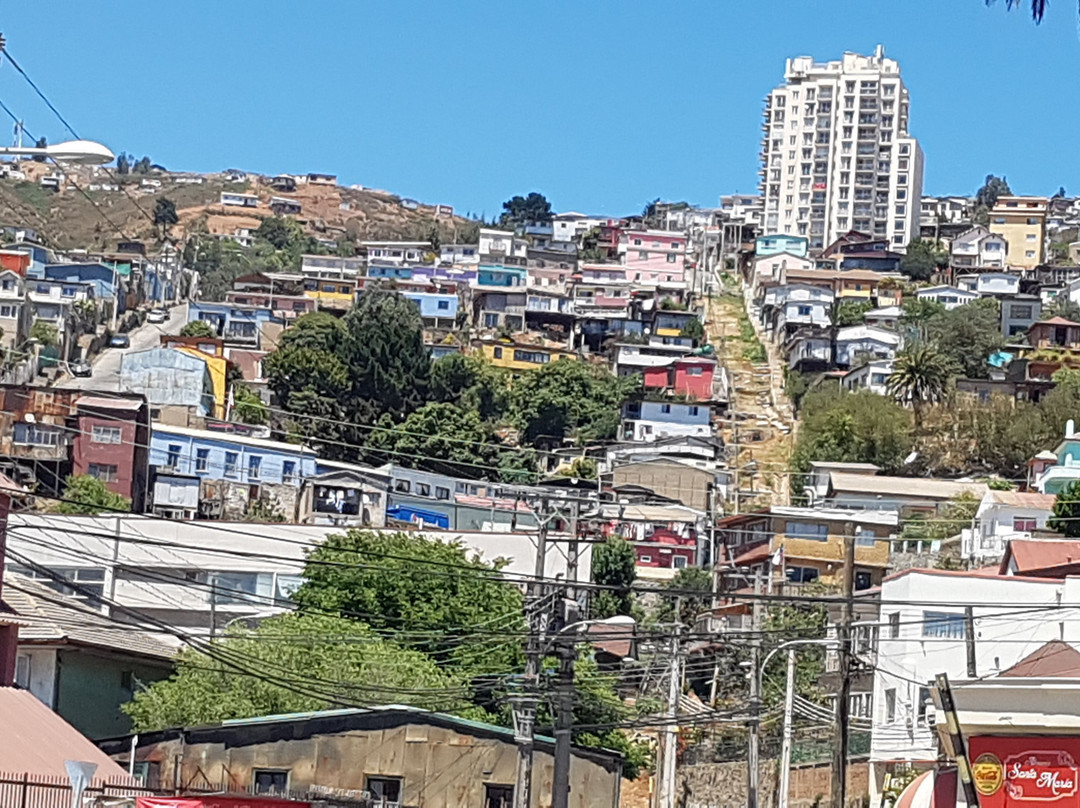 Valparaiso Walks景点图片