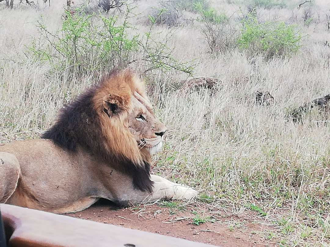 Inkosi Tours and Transfers-普马兰加省必去景点