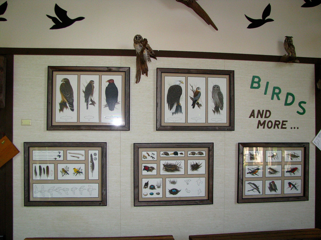 Mosquito Hill Nature Center-New London必去景点