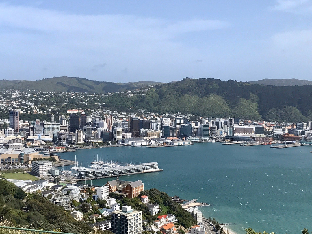 Wellington Hop On Hop Off Guided Tours景点图片