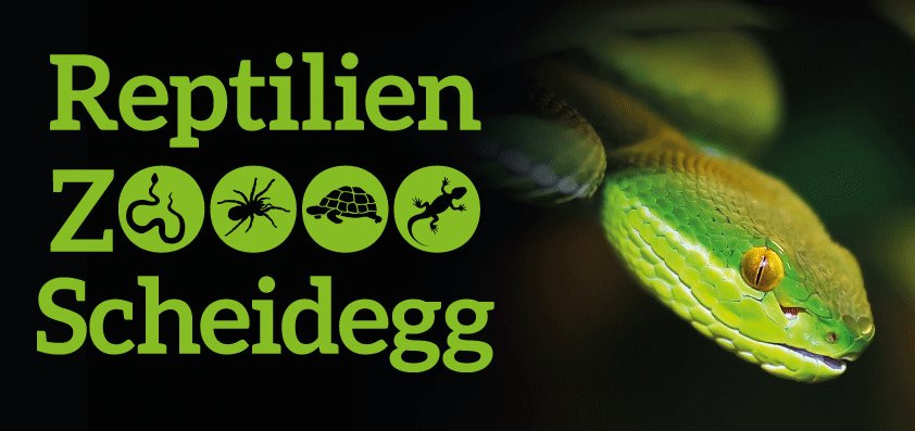 Reptilienzoo Scheidegg-Scheidegg必去景点