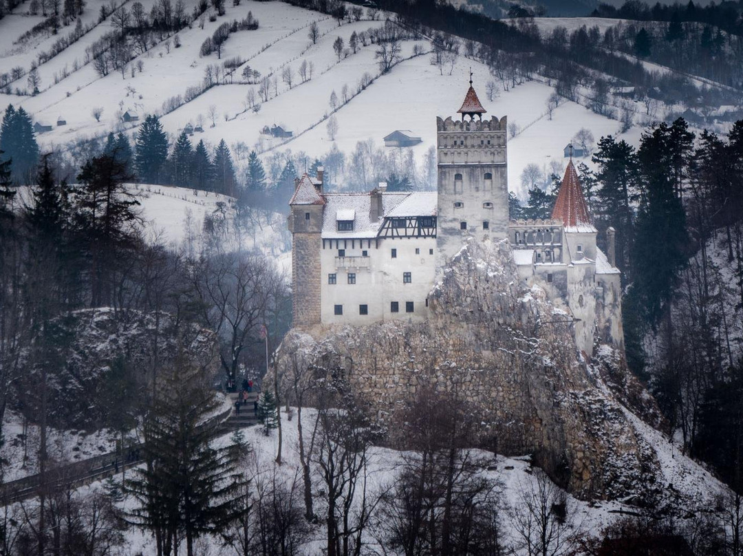 Romania Photo Tours景点图片