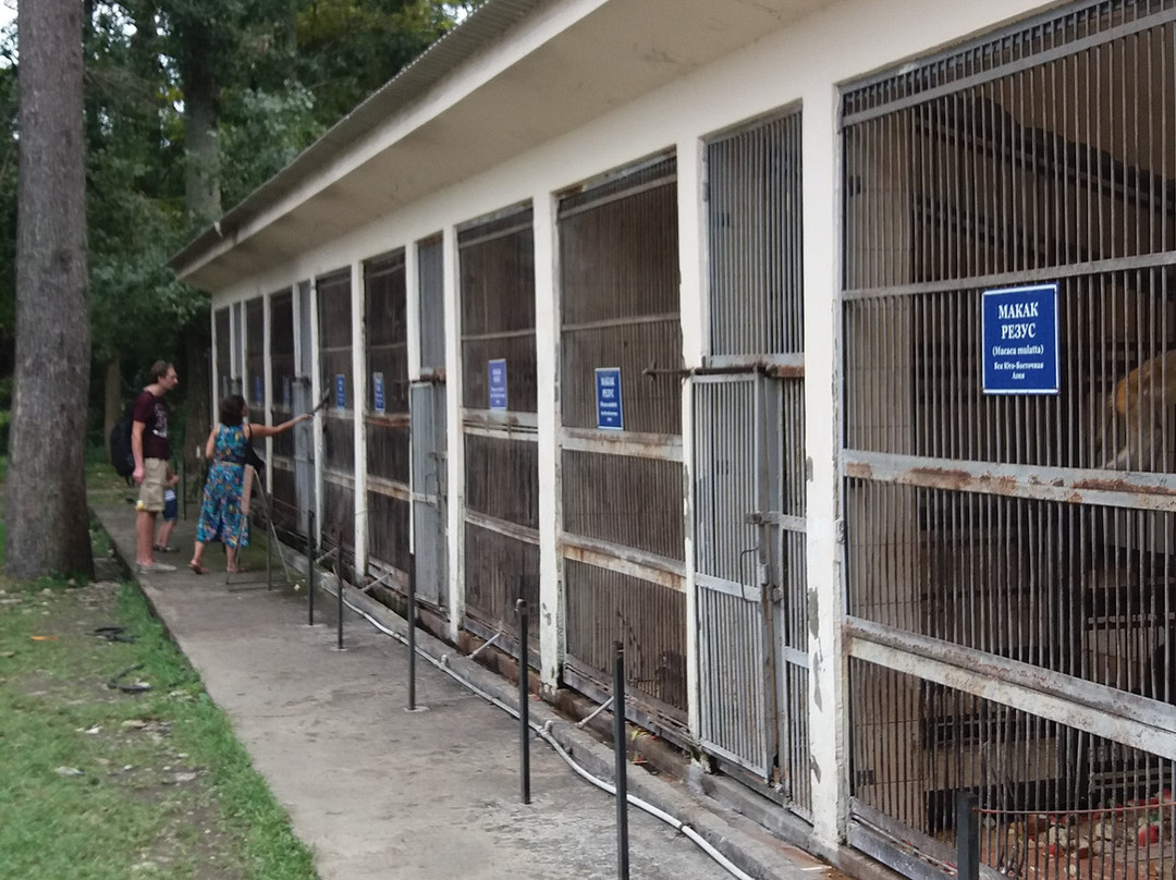 Sukhumi Monkey Nursery-Sukhumi必去景点