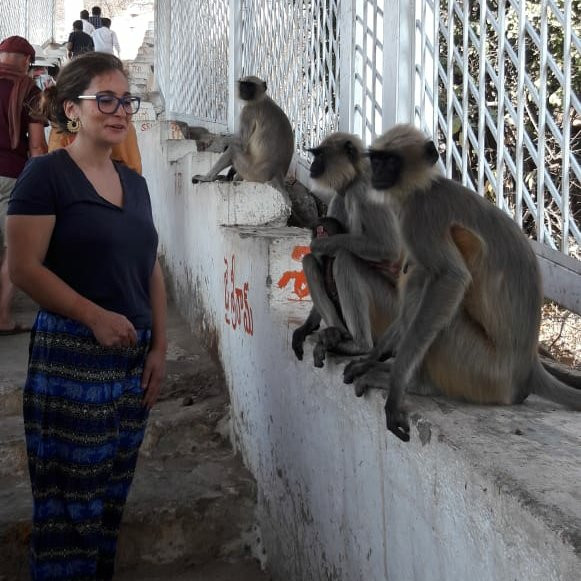 Anegundi Fort-亨比必去景点