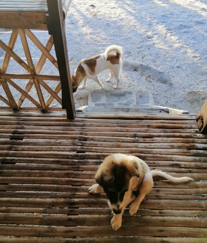 Beach Resort Maripipi主图