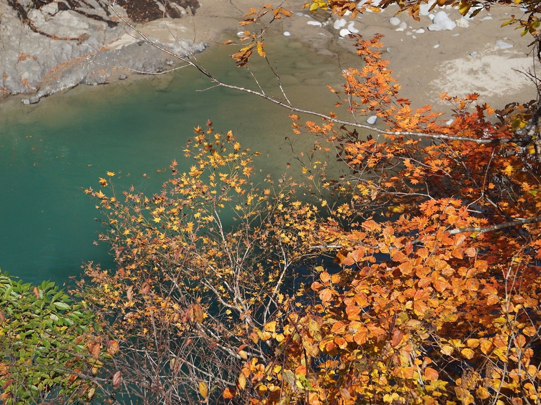 Sarutobi Bridge-津南町必去景点