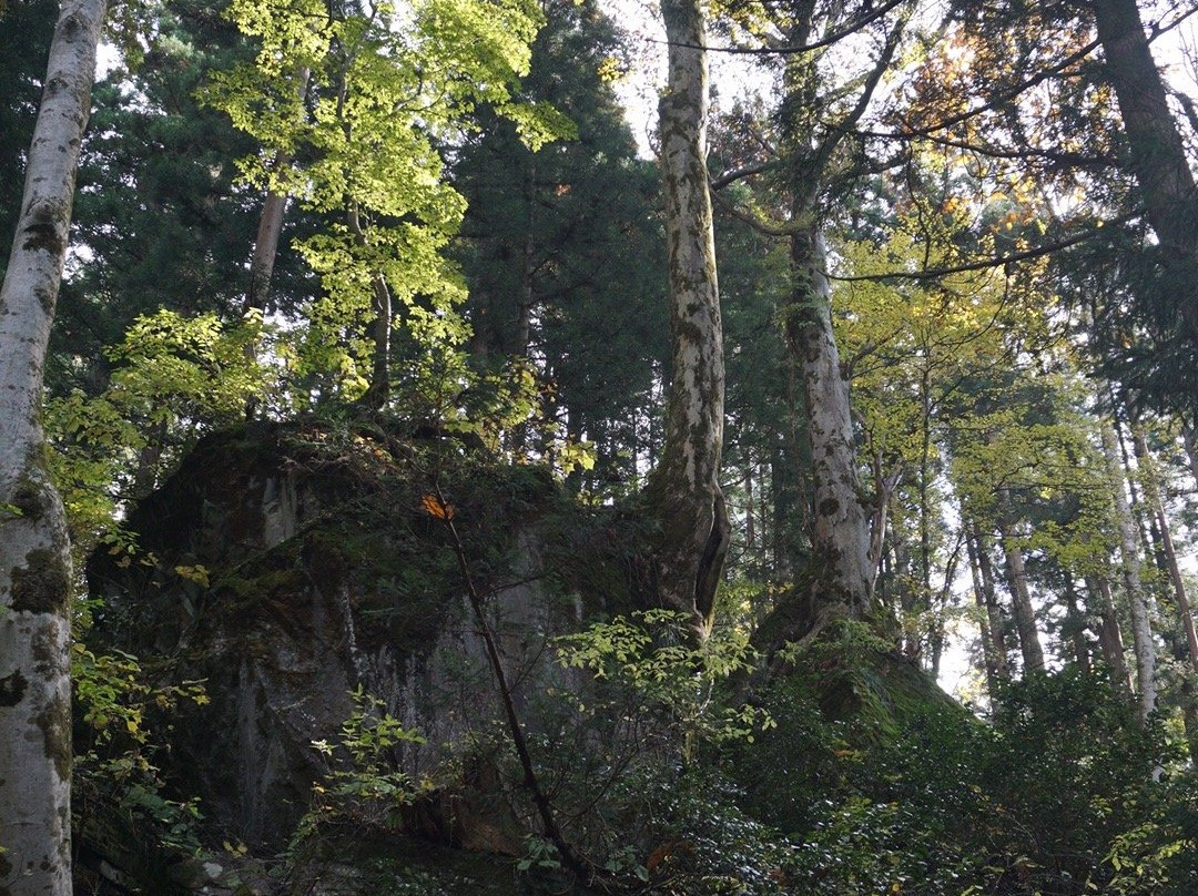 Midama Futoson-津南町必去景点