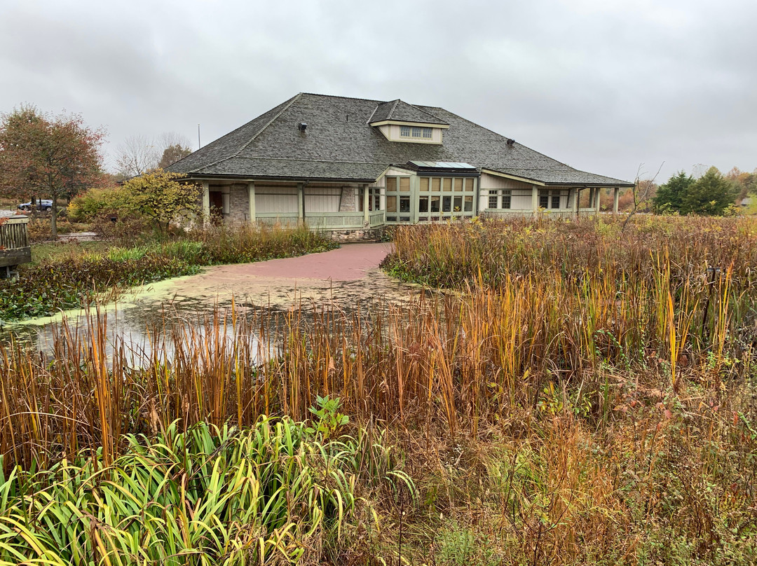 Henry N Barkhausen Cache River Wetlands Center景点图片