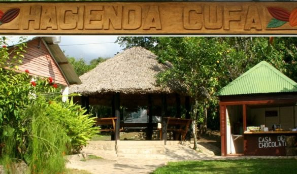 Hacienda Cufa景点图片