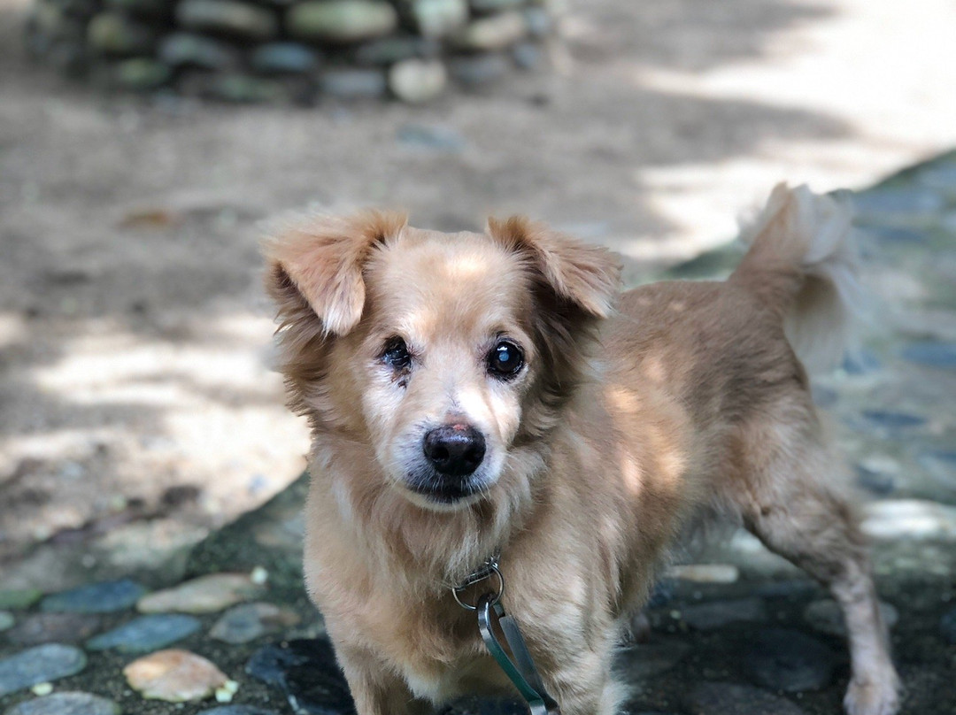 Posadas Ecoturisticas Seineken主图