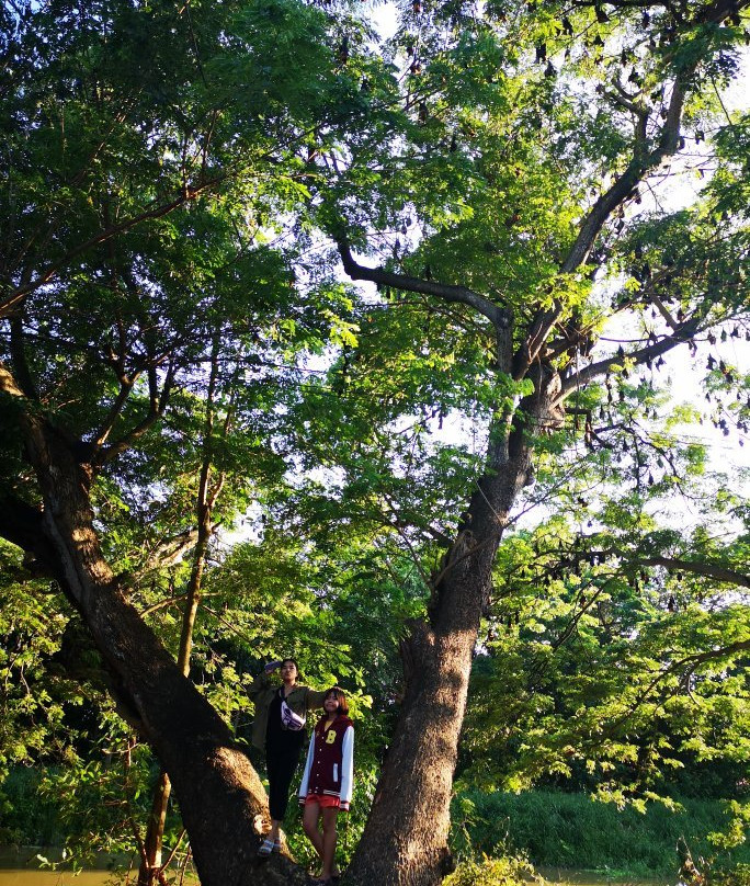 帕那尼空旅游攻略图片