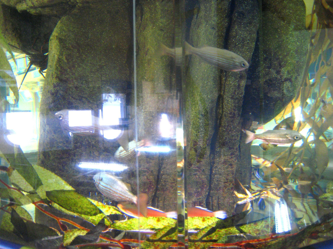 Heal the Bay Aquarium-圣莫尼卡必去景点