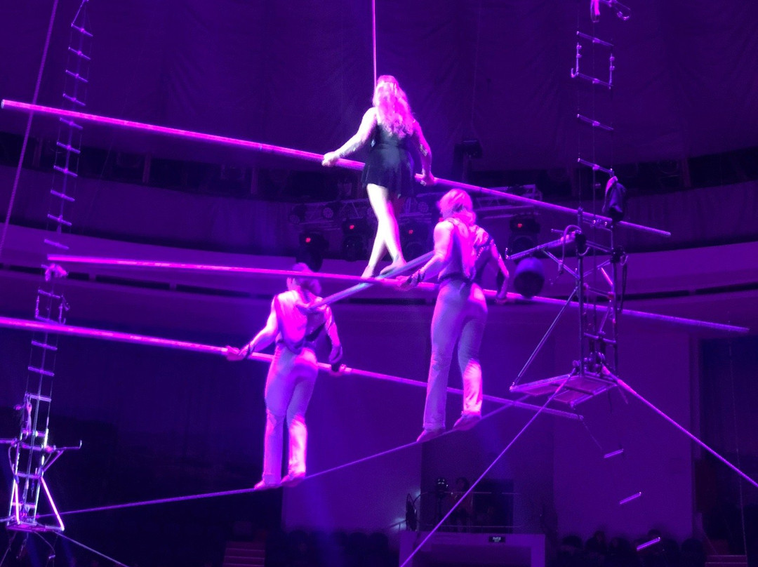 Sochi State Circus-索契必去景点