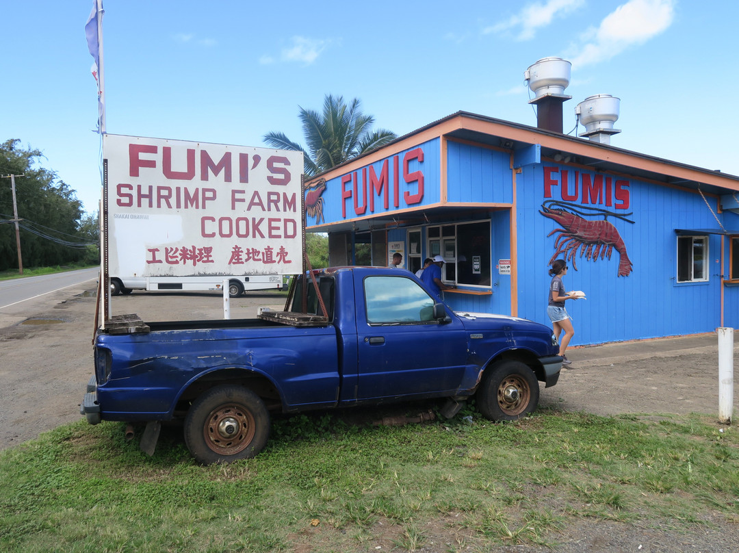 Aloha Trikke-火奴鲁鲁必去景点