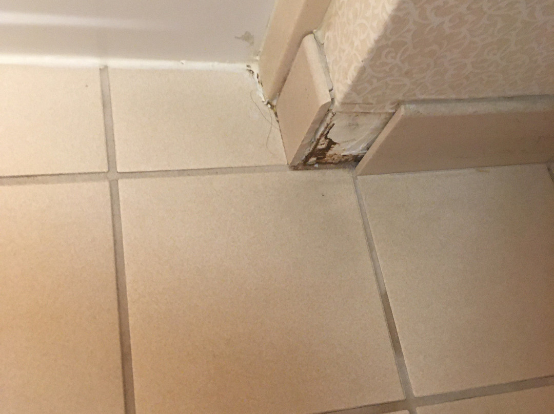 米尔皮塔斯汉普顿酒店主图