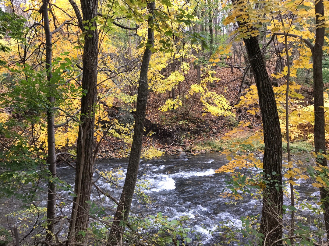 Keuka Lake Outlet Trail景点图片