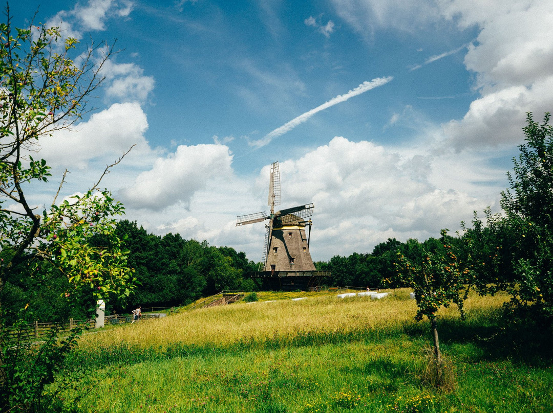 Freilichtmuseum Hessenpark景点图片