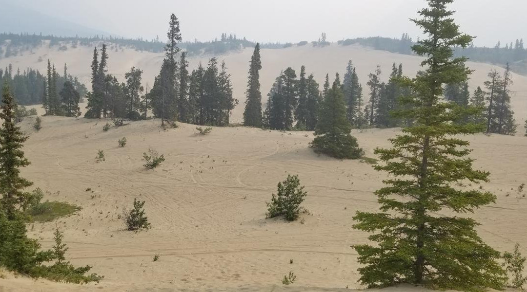 Carcross Desert-Carcross必去景点