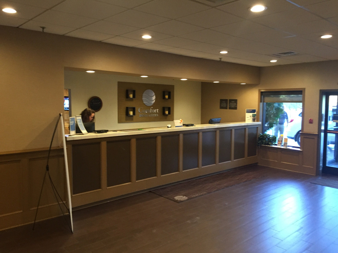 Comfort Inn & Suites Raphine - Lexington Near I-81 and I-64主图