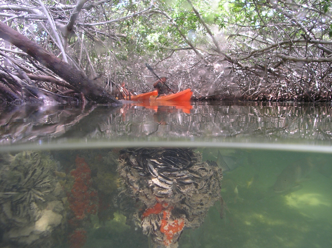 Outdoor Bonaire-Kralendijk必去景点
