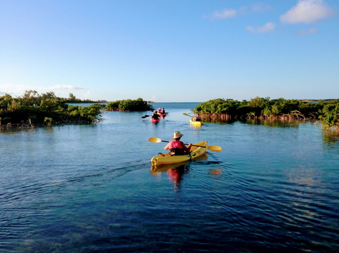 Adventure Sports TCI-普罗维登西亚莱斯必去景点