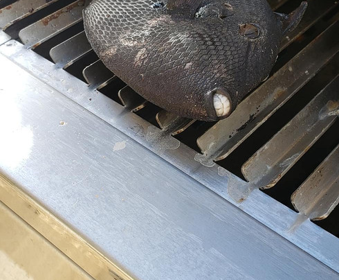 Top Shot Spearfishing-拉海纳必去景点