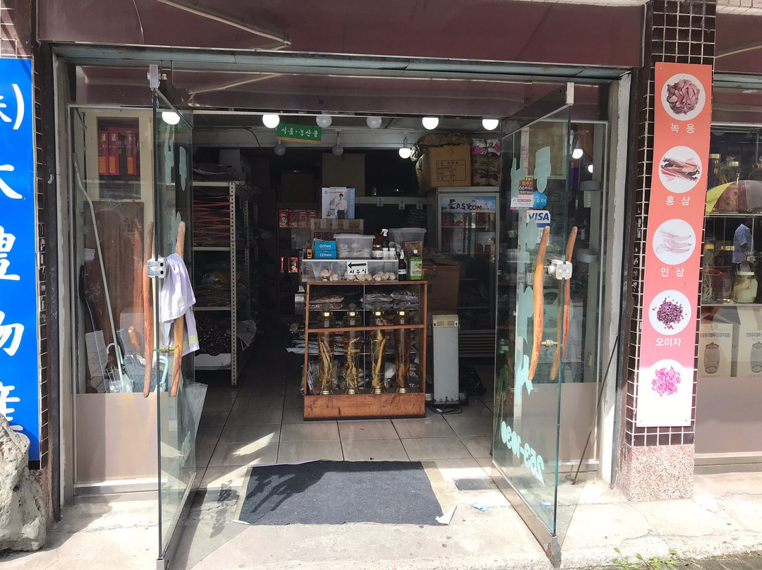 Daegu Oriental Medicine Market-大邱必去景点